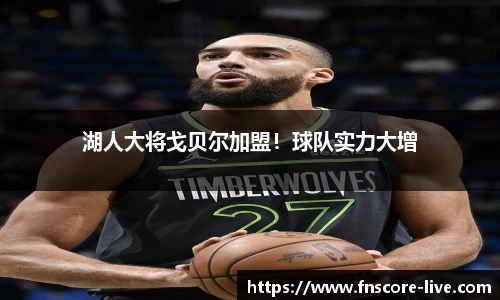 蜂鸟电竞官方正版网站